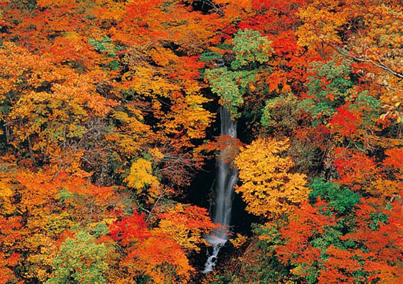Tsunan Town