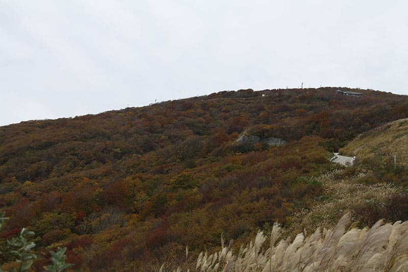 Donden Highlands