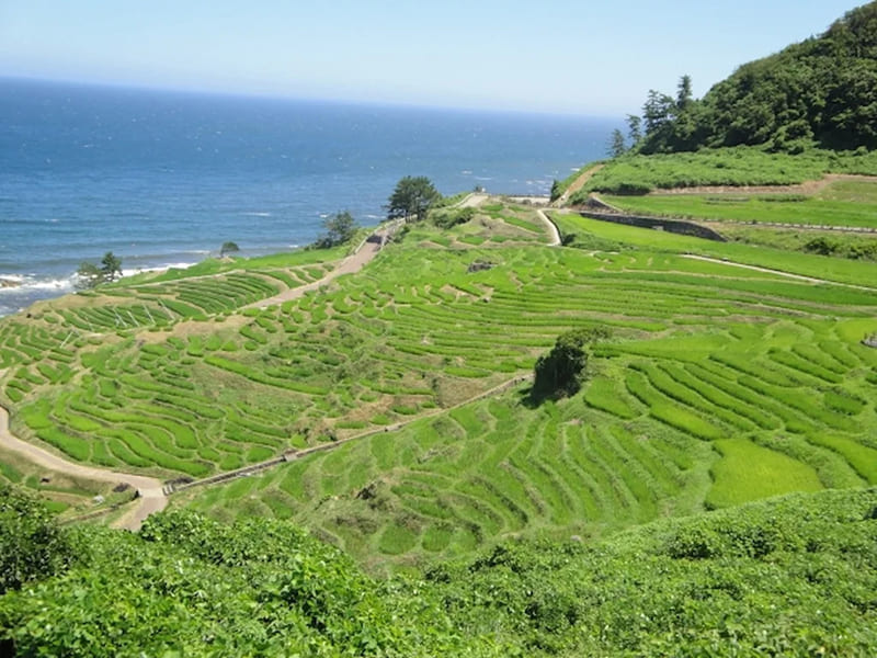 輪島市