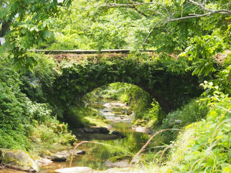 里山自然学校　こまつ滝ヶ原