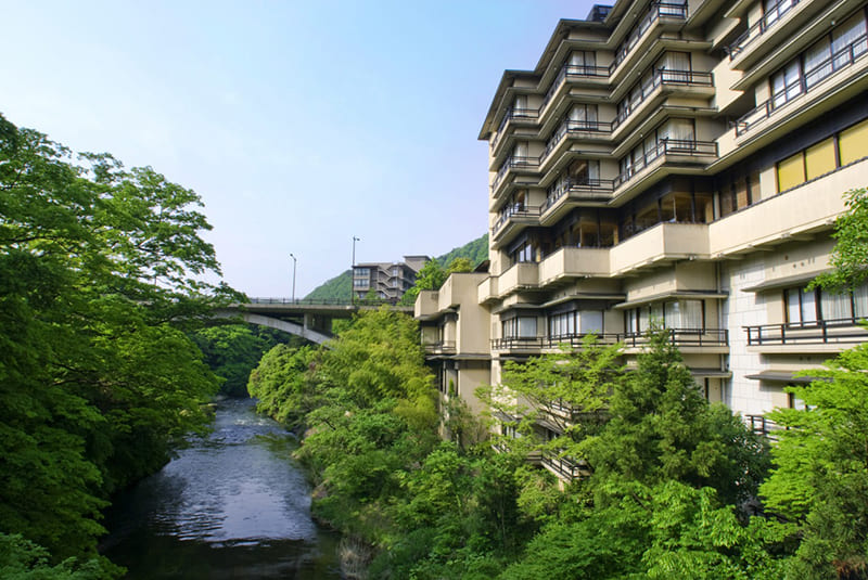 山中温泉 花紫