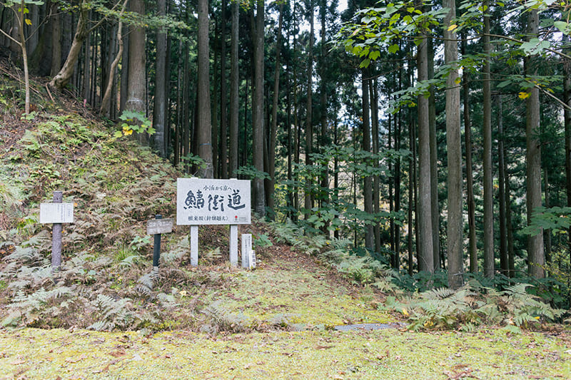 古道 鯖街道（針畑越え）