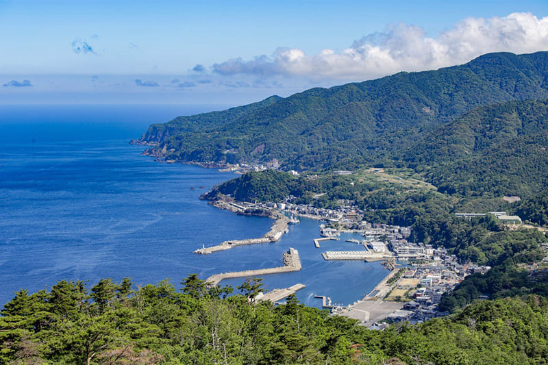 越前町