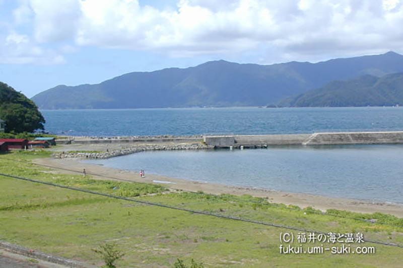 勢浜海岸