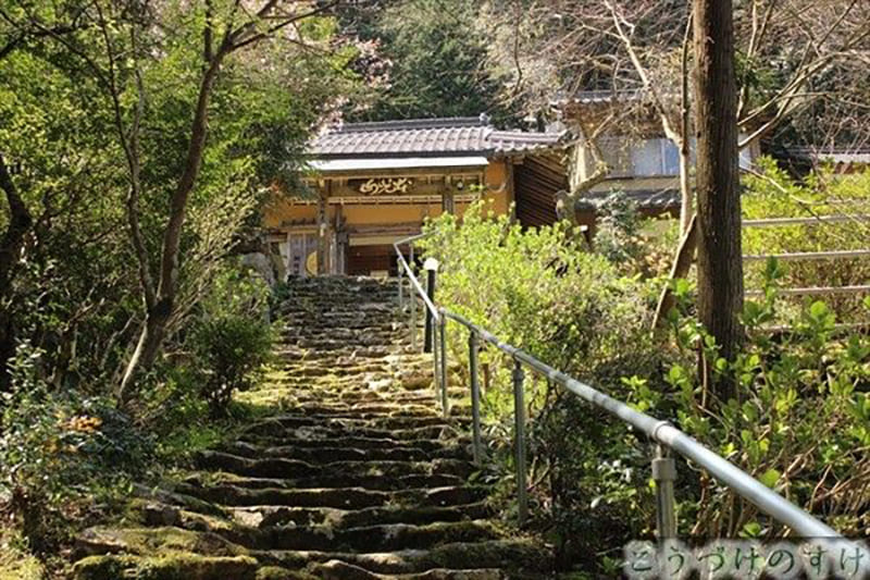 本光山 馬居寺