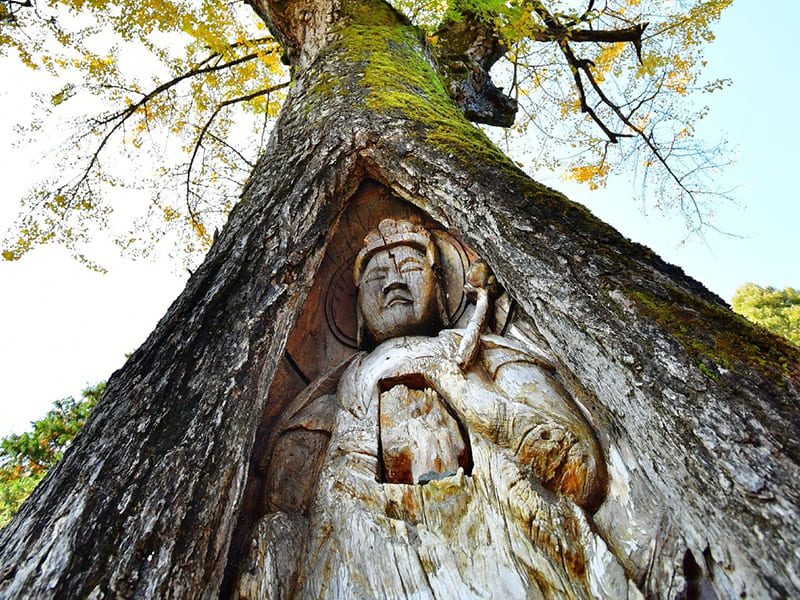 諦應寺