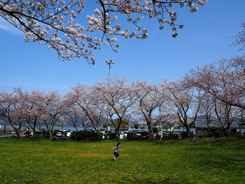 小浜公園