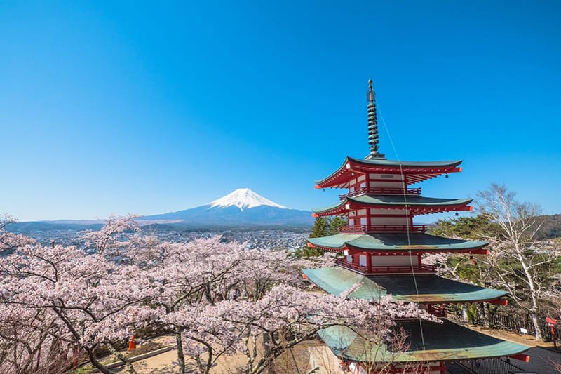 Yamanashi Prefecture