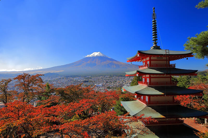 สวนอาราคุระยะมะ เซ็นเก็น