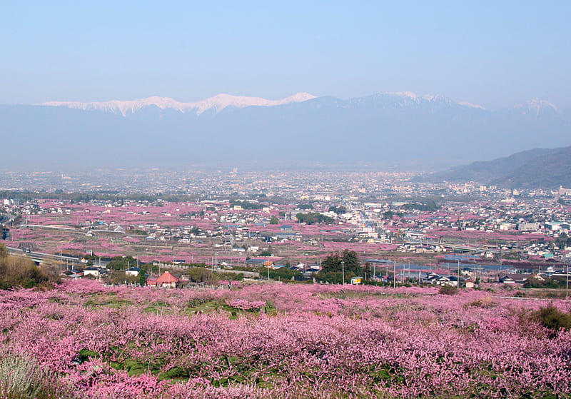 Fuefuki City