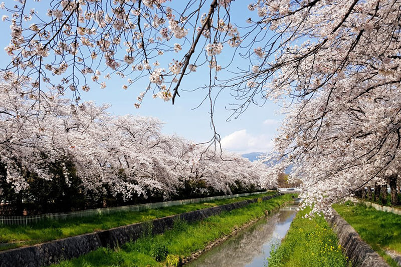 小瀬スポーツ公園
