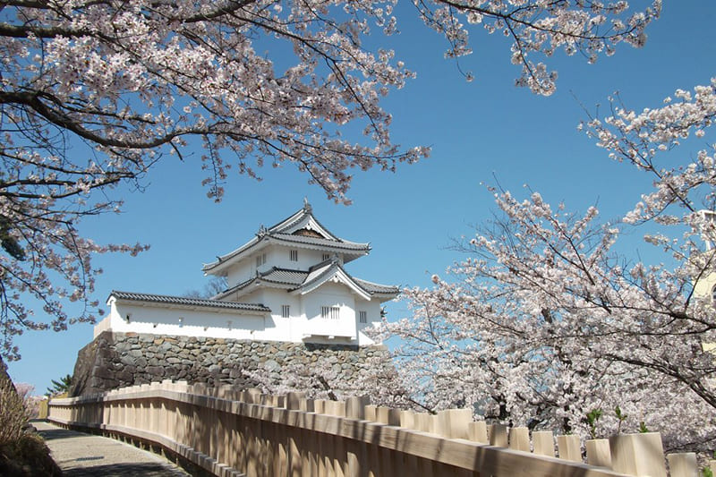 舞鶴城公園