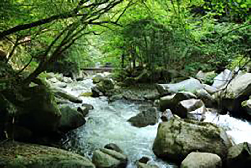 Koshu City