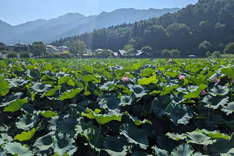 Akumi District