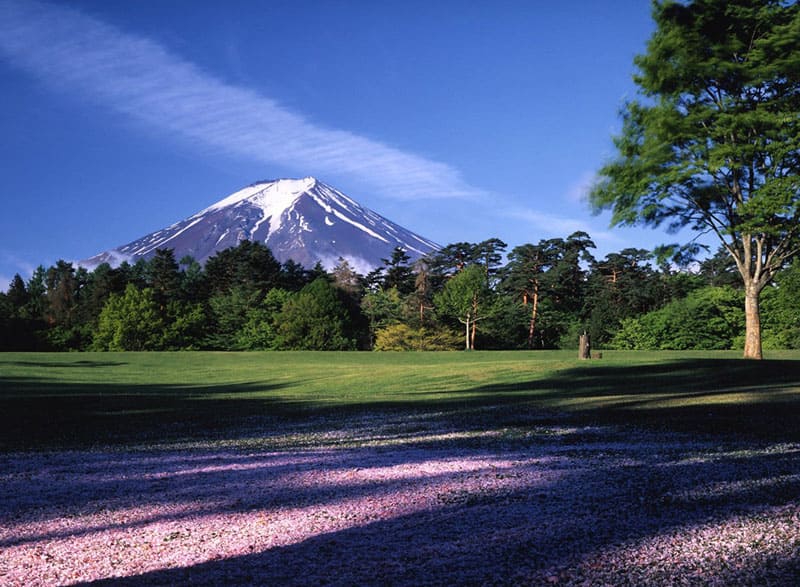 諏訪の森自然公園