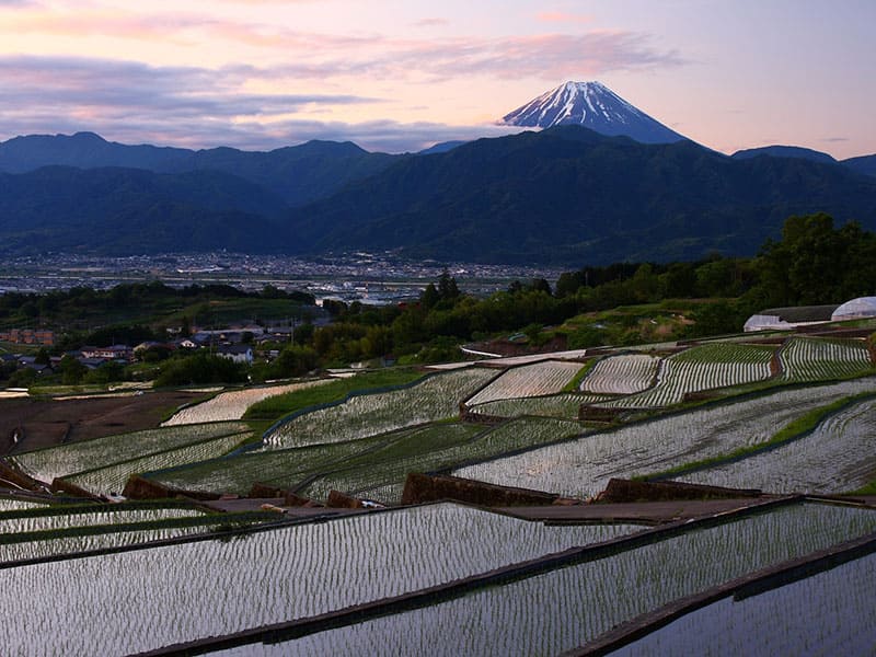 Minami-Alps City