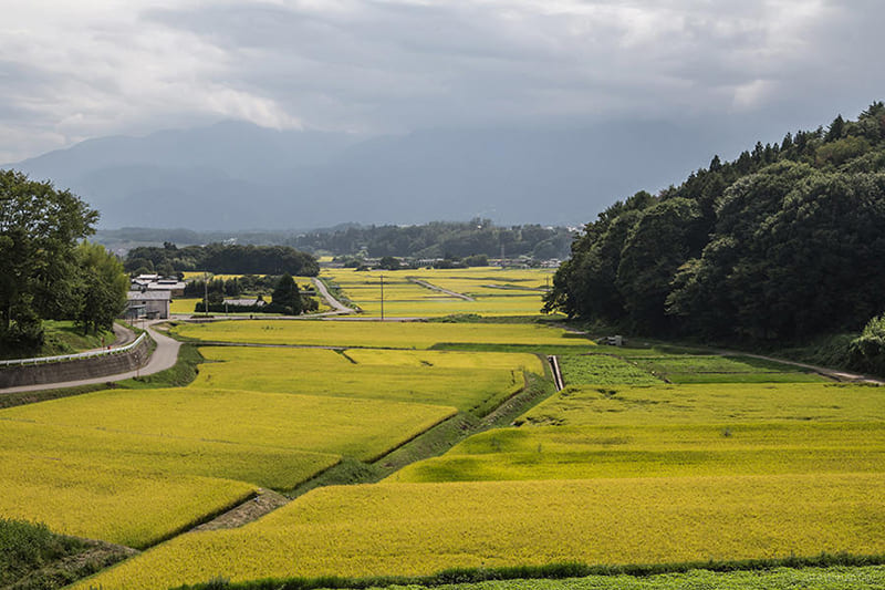 Kanase Ruins