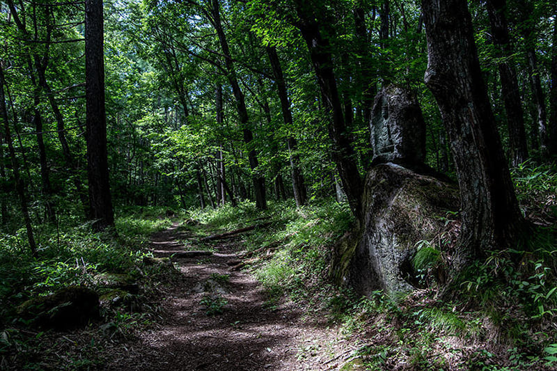 Shingen-bo-michi Road