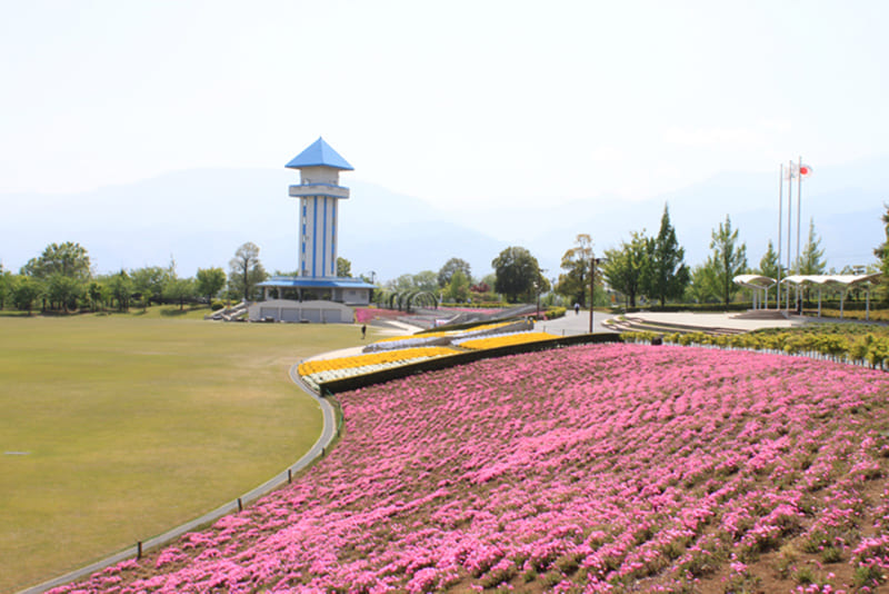 สวนสาธารณะอากาซากะได