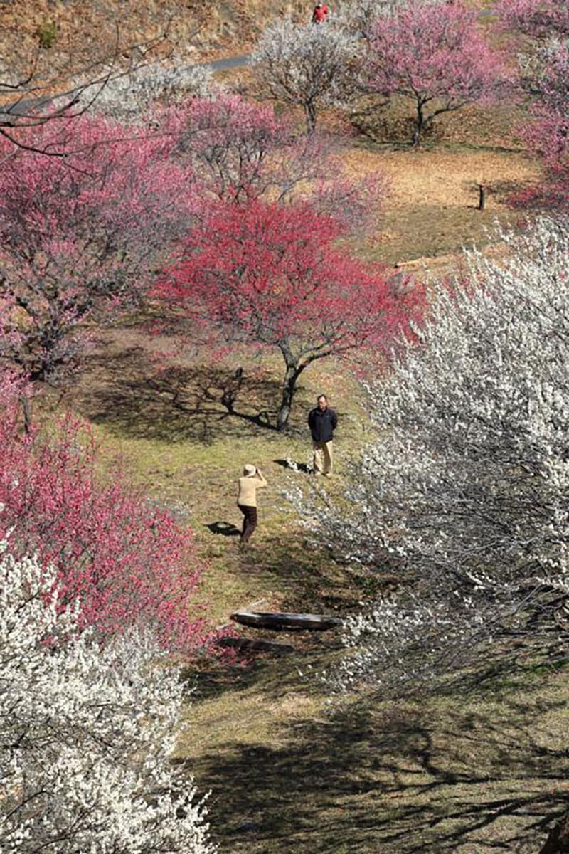 敷島総合公園