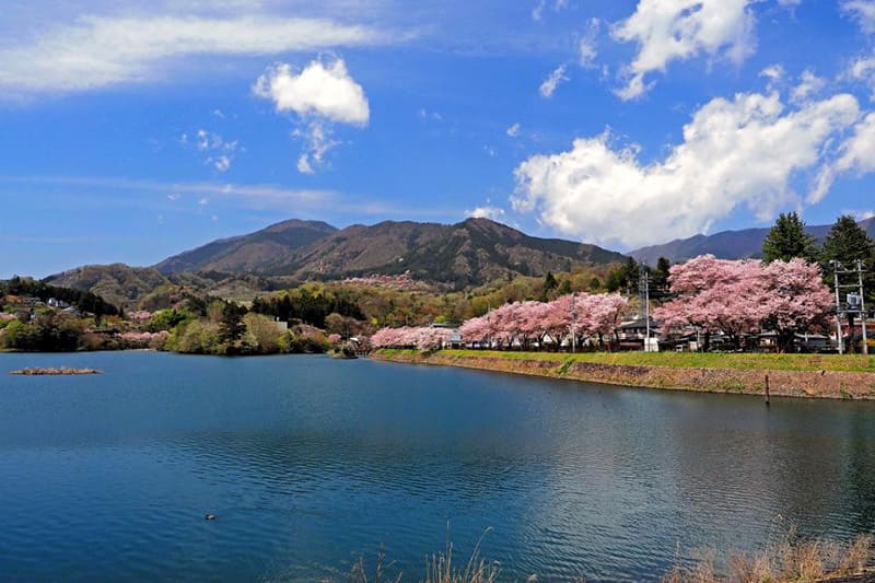 Uenohara City