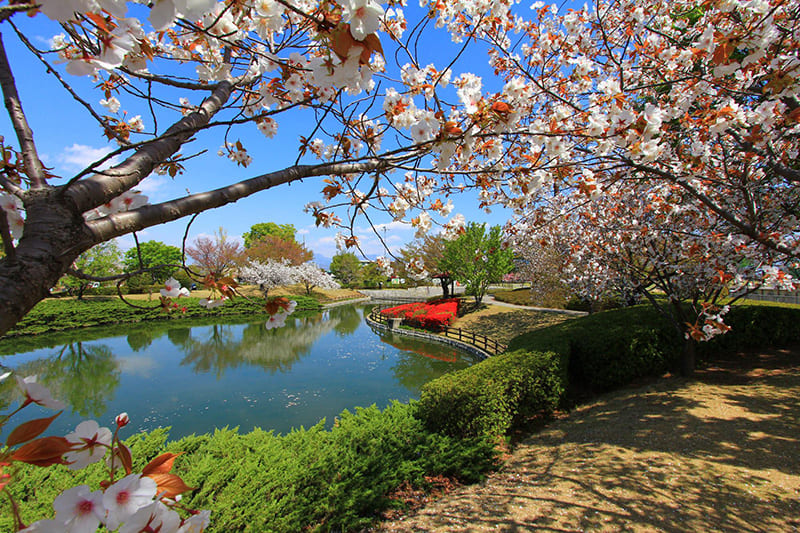 Chuo City