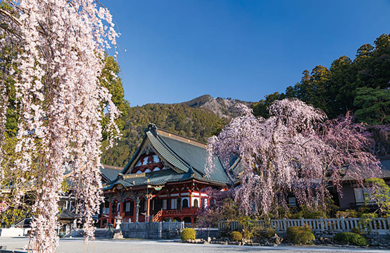 Minobu Town