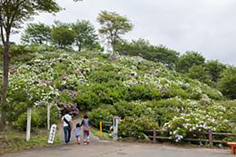 Nanbu Town