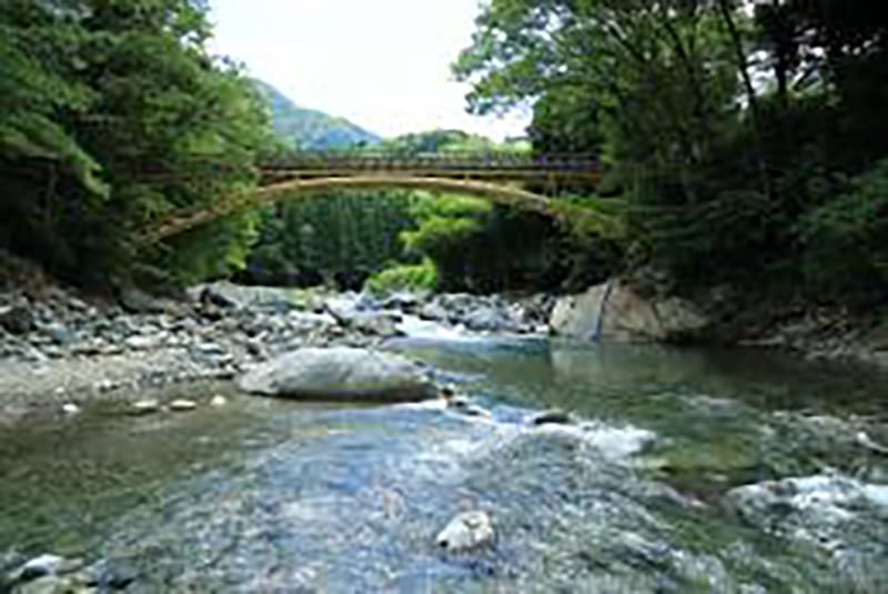 Doshi Village