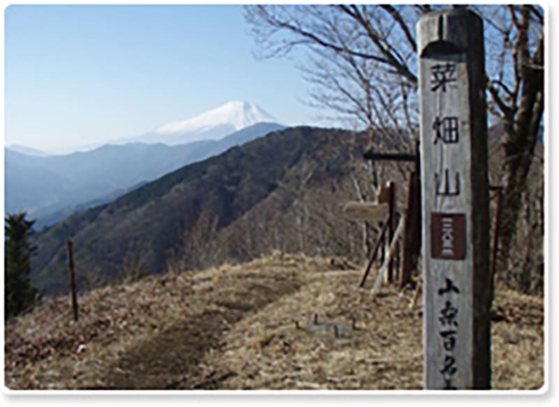 菜畑山