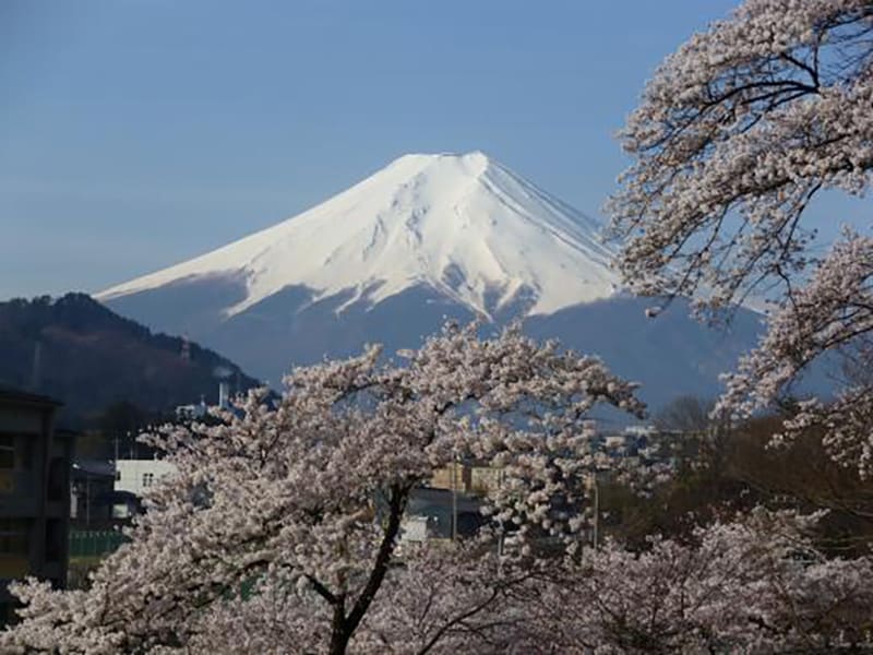 Nishikatsura Town