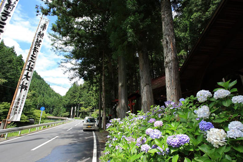 Kosuge Village