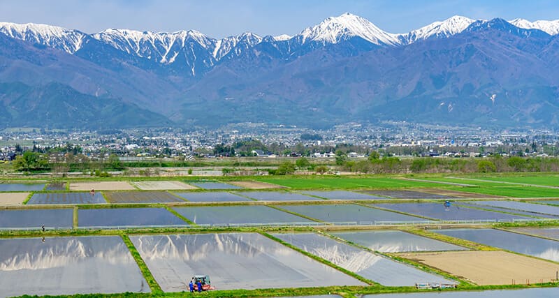 Azumino City