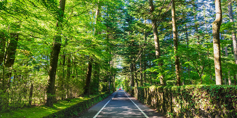Karuizawa Town