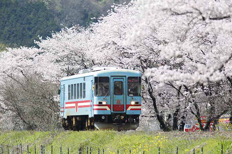รถไฟสายทารูมิ