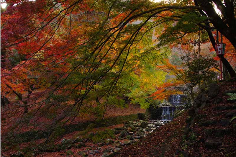 Yoro Park