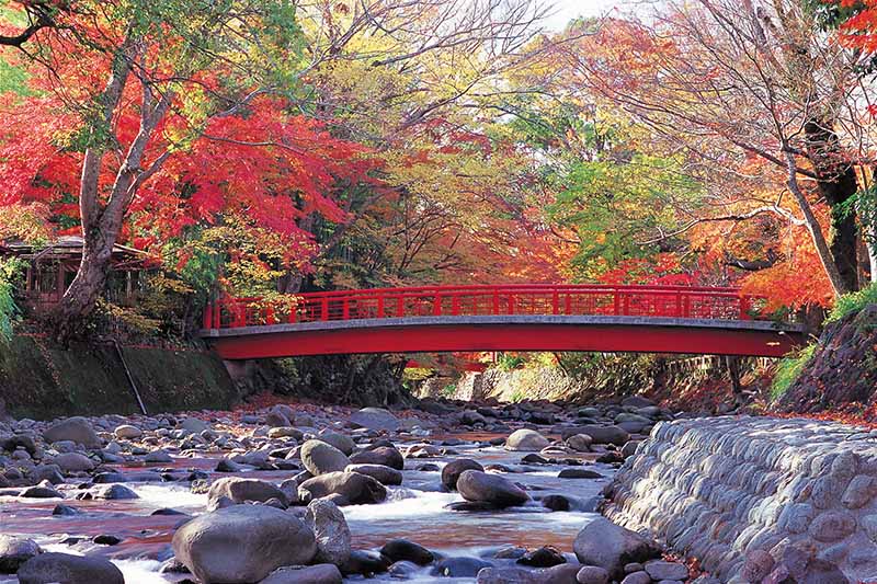修善寺