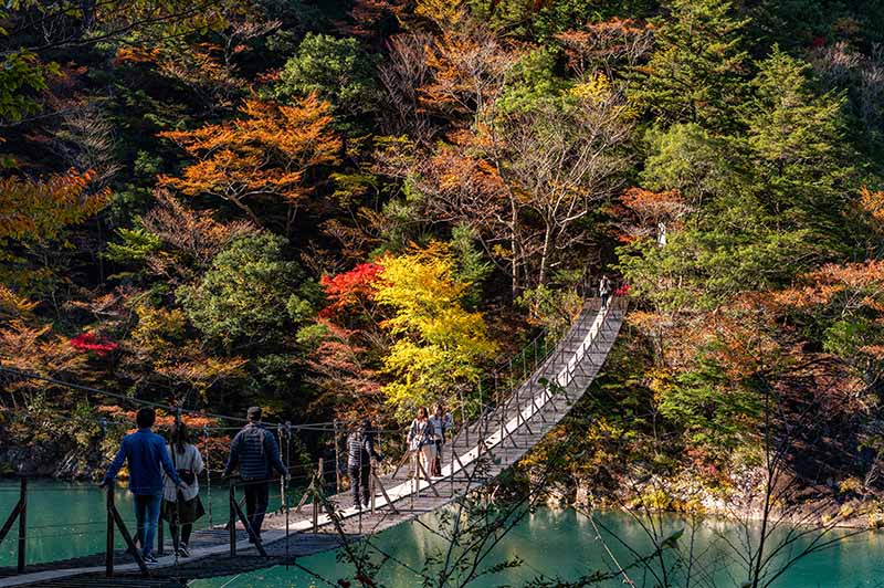 寸又峡
