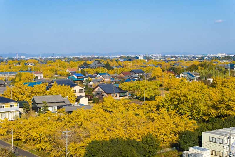 Sobue-cho