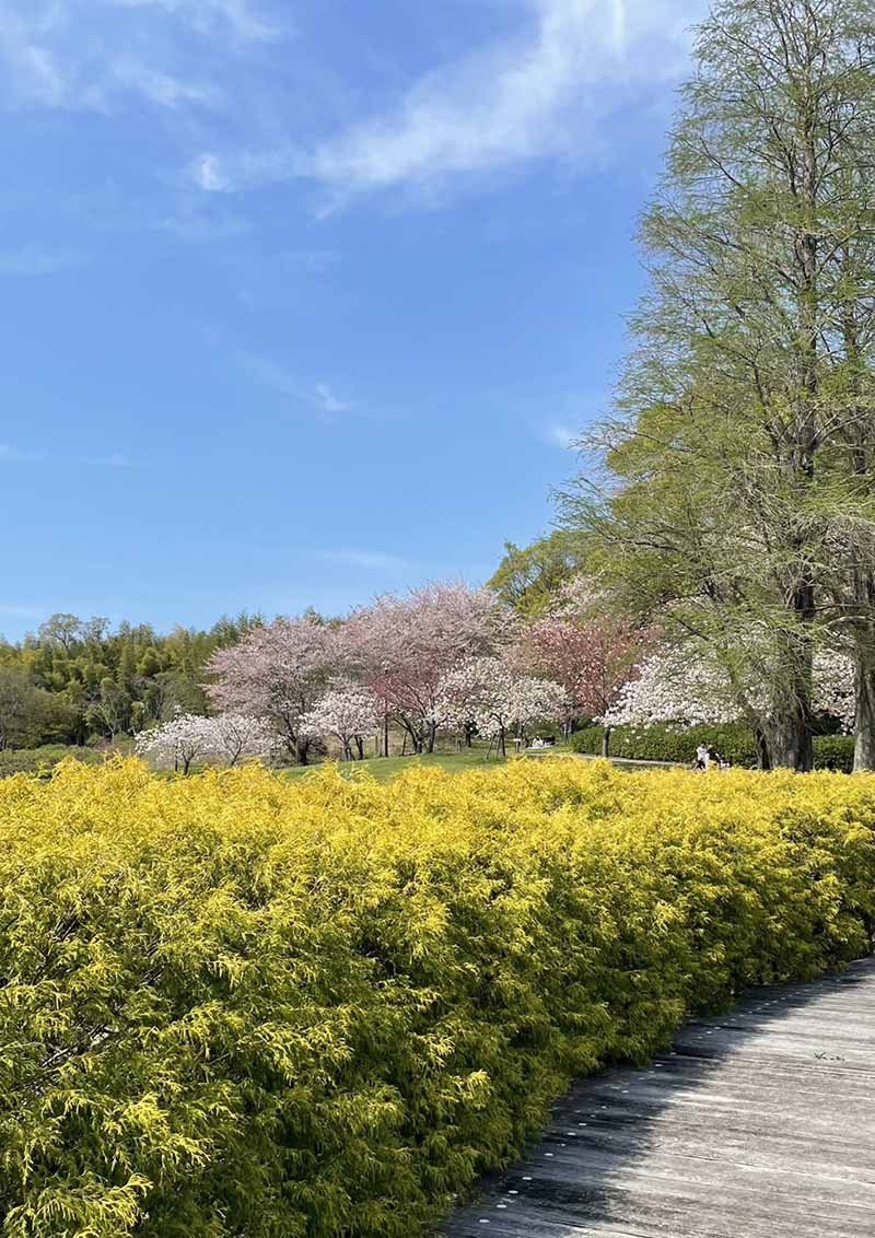 Higashiura-cho