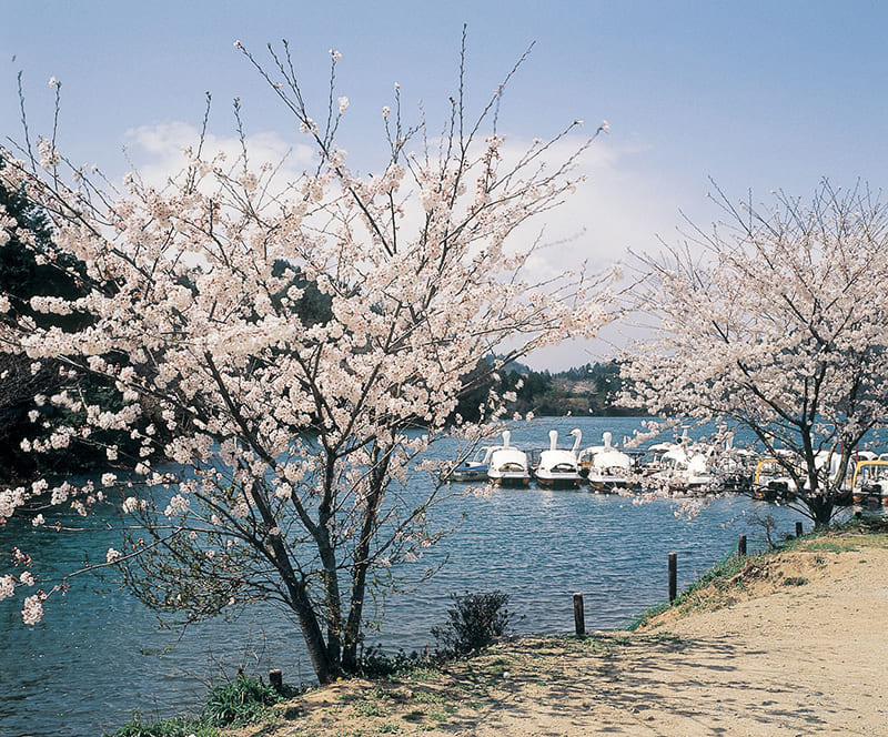 Taki Town