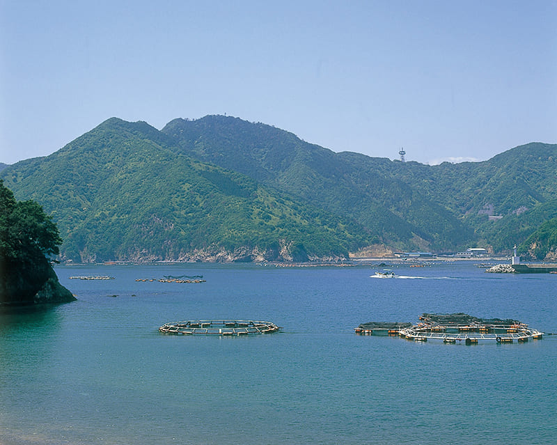 Taiki Town