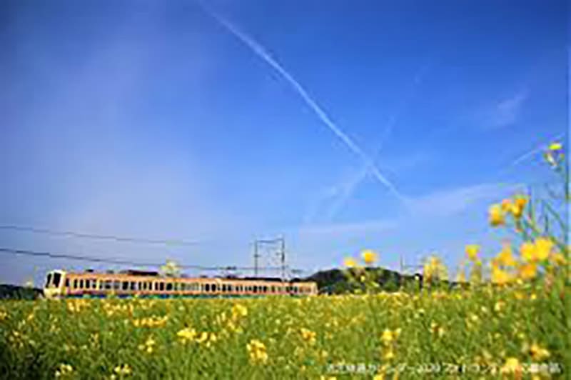 รถไฟโอมิ