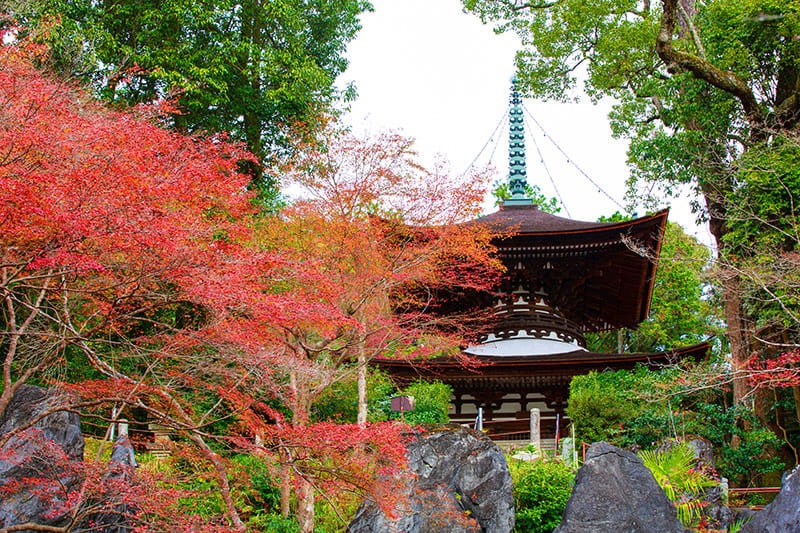 Ishiyama-dera Temple