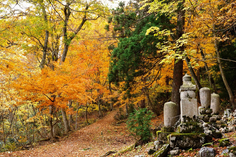 菅山寺