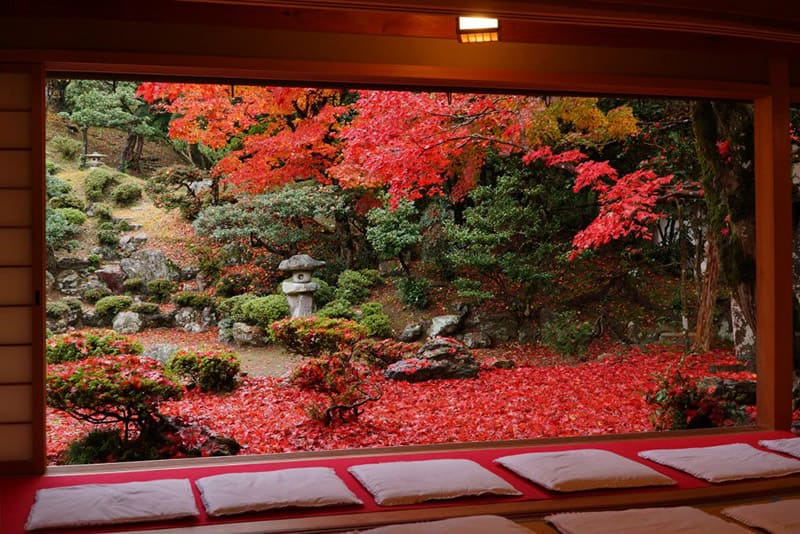 清泷寺德源院