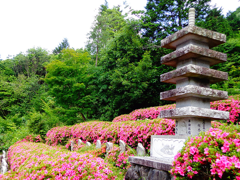 Konan City