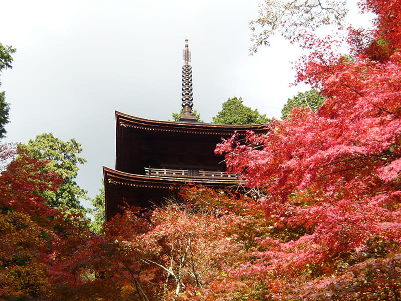 Aisho Town