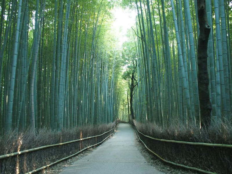 西山エリア
