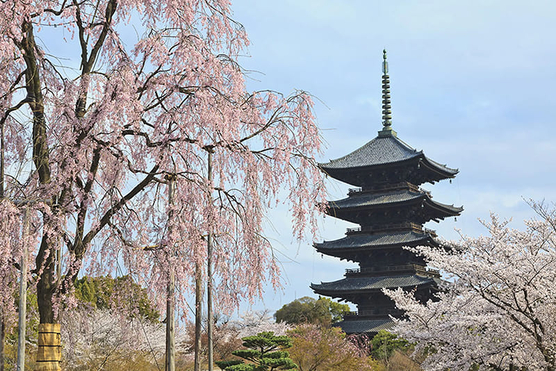 東寺
